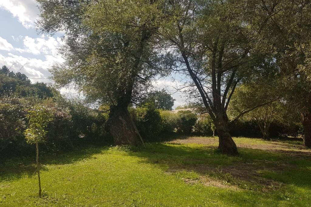 Demeure En Pierre Avec Piscine Privee Villa Etauliers Exteriör bild