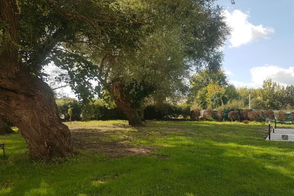 Demeure En Pierre Avec Piscine Privee Villa Etauliers Exteriör bild
